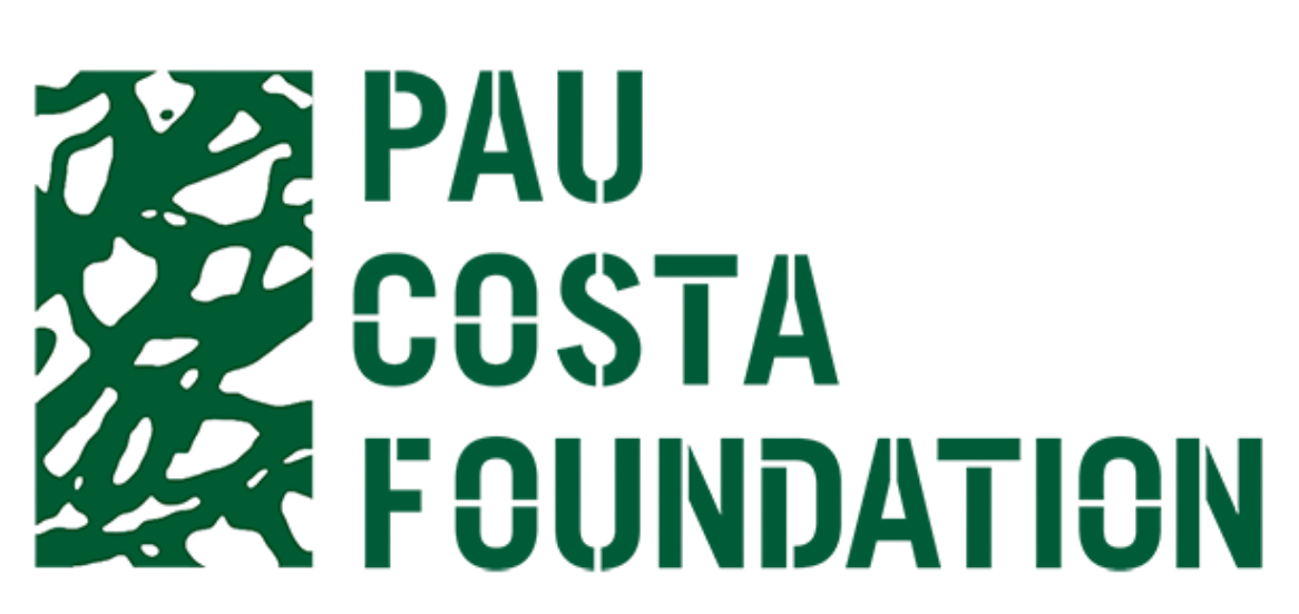 Fundació pau costa logo