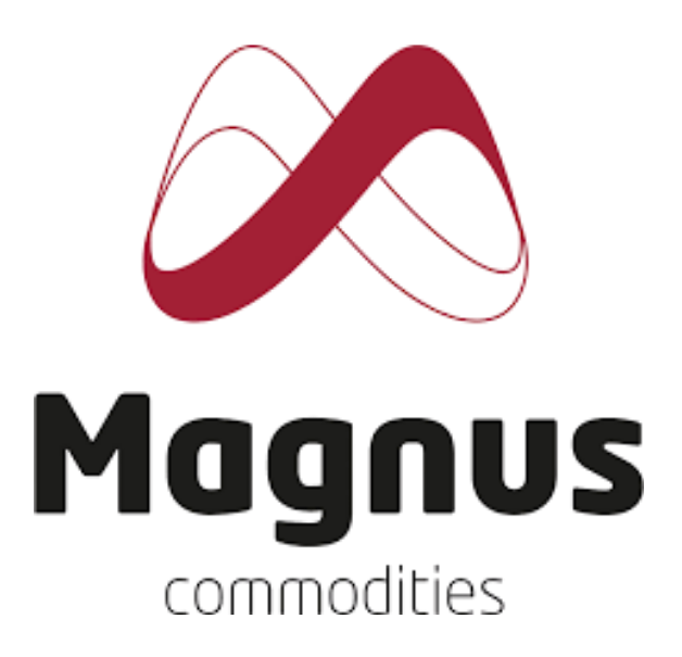 Magnus CMD global logo